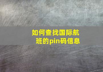 如何查找国际航班的pin码信息