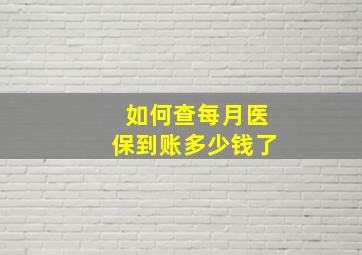 如何查每月医保到账多少钱了