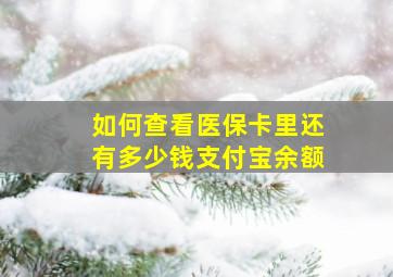 如何查看医保卡里还有多少钱支付宝余额