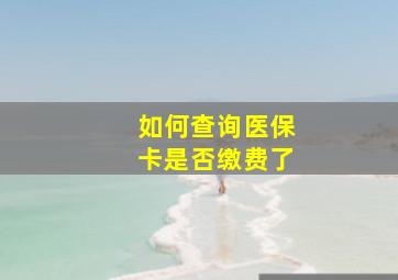 如何查询医保卡是否缴费了