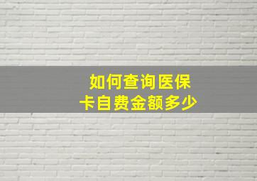 如何查询医保卡自费金额多少