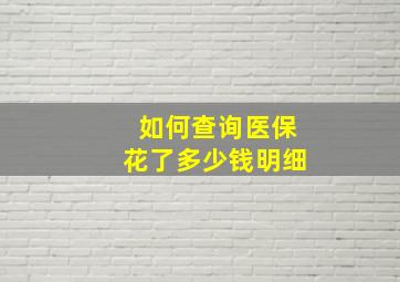 如何查询医保花了多少钱明细