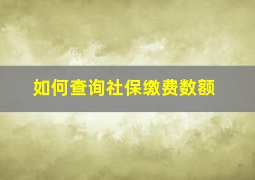 如何查询社保缴费数额