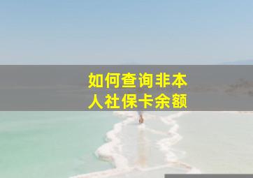 如何查询非本人社保卡余额