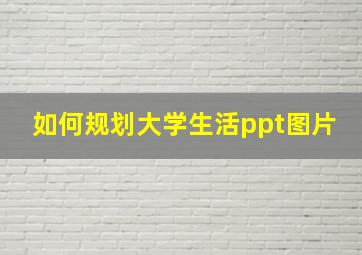 如何规划大学生活ppt图片