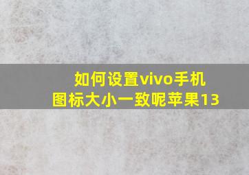 如何设置vivo手机图标大小一致呢苹果13