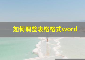 如何调整表格格式word