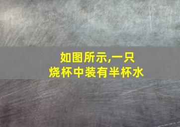 如图所示,一只烧杯中装有半杯水