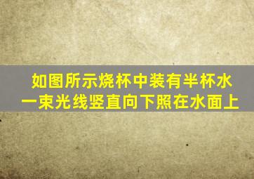 如图所示烧杯中装有半杯水一束光线竖直向下照在水面上