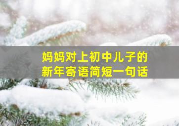 妈妈对上初中儿子的新年寄语简短一句话