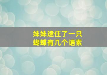 妹妹逮住了一只蝴蝶有几个语素