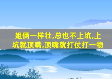 姐俩一样壮,总也不上坑,上坑就顶嘴,顶嘴就打仗打一物