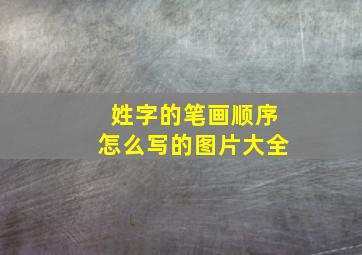 姓字的笔画顺序怎么写的图片大全