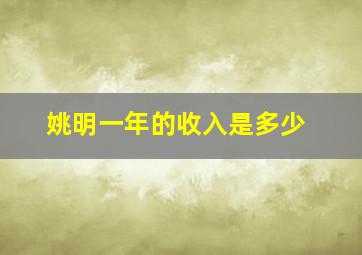 姚明一年的收入是多少