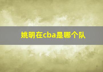 姚明在cba是哪个队