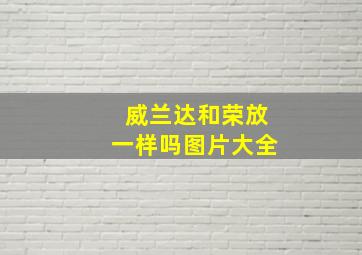 威兰达和荣放一样吗图片大全