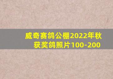 威奇赛鸽公棚2022年秋获奖鸽照片100-200