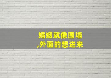 婚姻就像围墙,外面的想进来