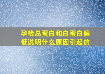 孕检总蛋白和白蛋白偏低说明什么原因引起的