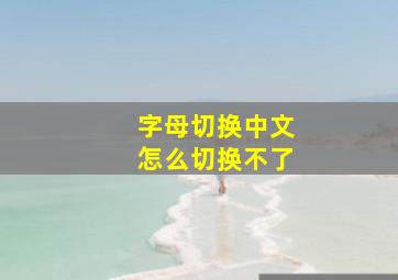 字母切换中文怎么切换不了