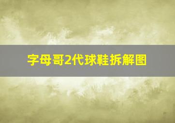 字母哥2代球鞋拆解图