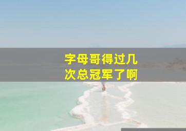 字母哥得过几次总冠军了啊