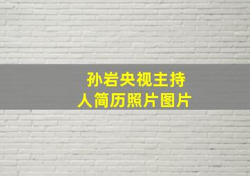 孙岩央视主持人简历照片图片