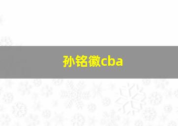 孙铭徽cba