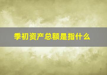 季初资产总额是指什么