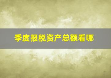 季度报税资产总额看哪