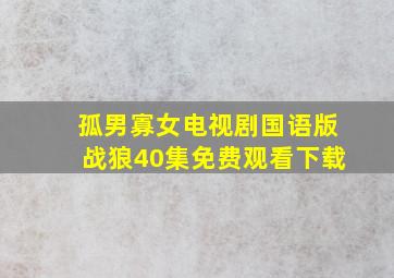 孤男寡女电视剧国语版战狼40集免费观看下载