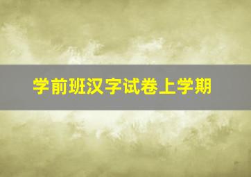 学前班汉字试卷上学期