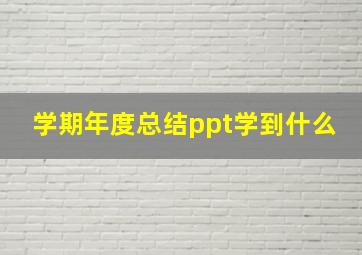 学期年度总结ppt学到什么