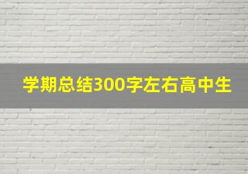 学期总结300字左右高中生