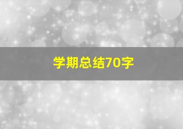 学期总结70字