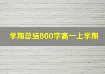 学期总结800字高一上学期