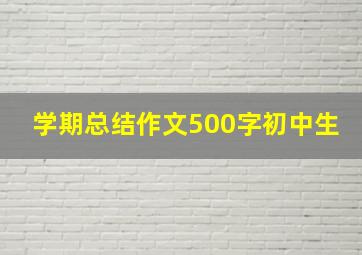 学期总结作文500字初中生