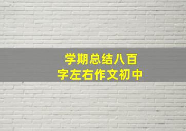 学期总结八百字左右作文初中