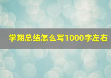 学期总结怎么写1000字左右