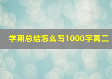 学期总结怎么写1000字高二