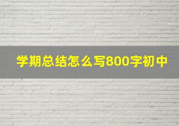 学期总结怎么写800字初中