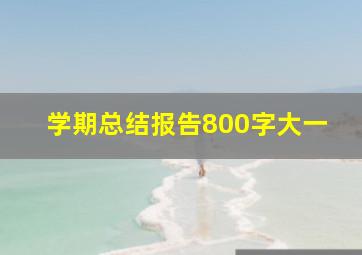 学期总结报告800字大一