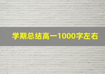 学期总结高一1000字左右