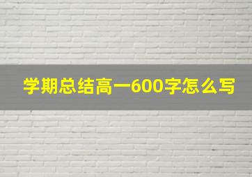 学期总结高一600字怎么写