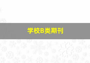 学校B类期刊