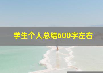 学生个人总结600字左右