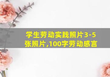 学生劳动实践照片3-5张照片,100字劳动感言