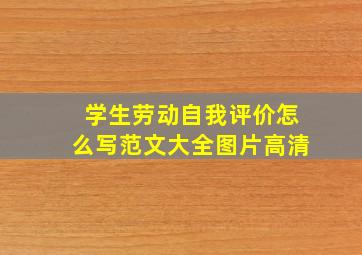 学生劳动自我评价怎么写范文大全图片高清