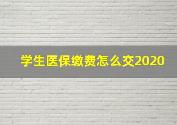 学生医保缴费怎么交2020