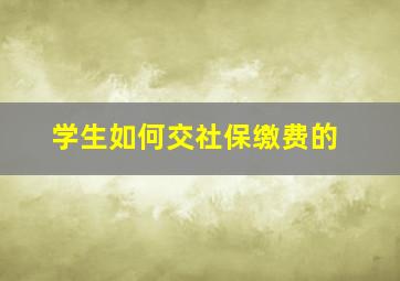 学生如何交社保缴费的